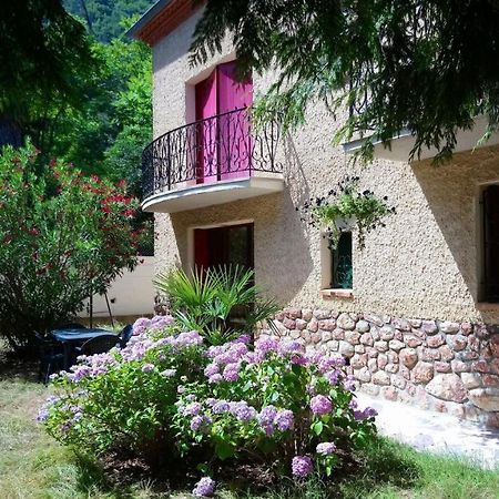 F2 de 45 m2 avec jardin au rdc dans villa chiens OK à 5 min à pied des Thermes de Vernet-les-Bains, location de samedi à samedi Exterior foto