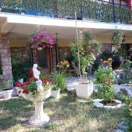 F2 de 45 m2 avec jardin au rdc dans villa chiens OK à 5 min à pied des Thermes de Vernet-les-Bains, location de samedi à samedi Exterior foto