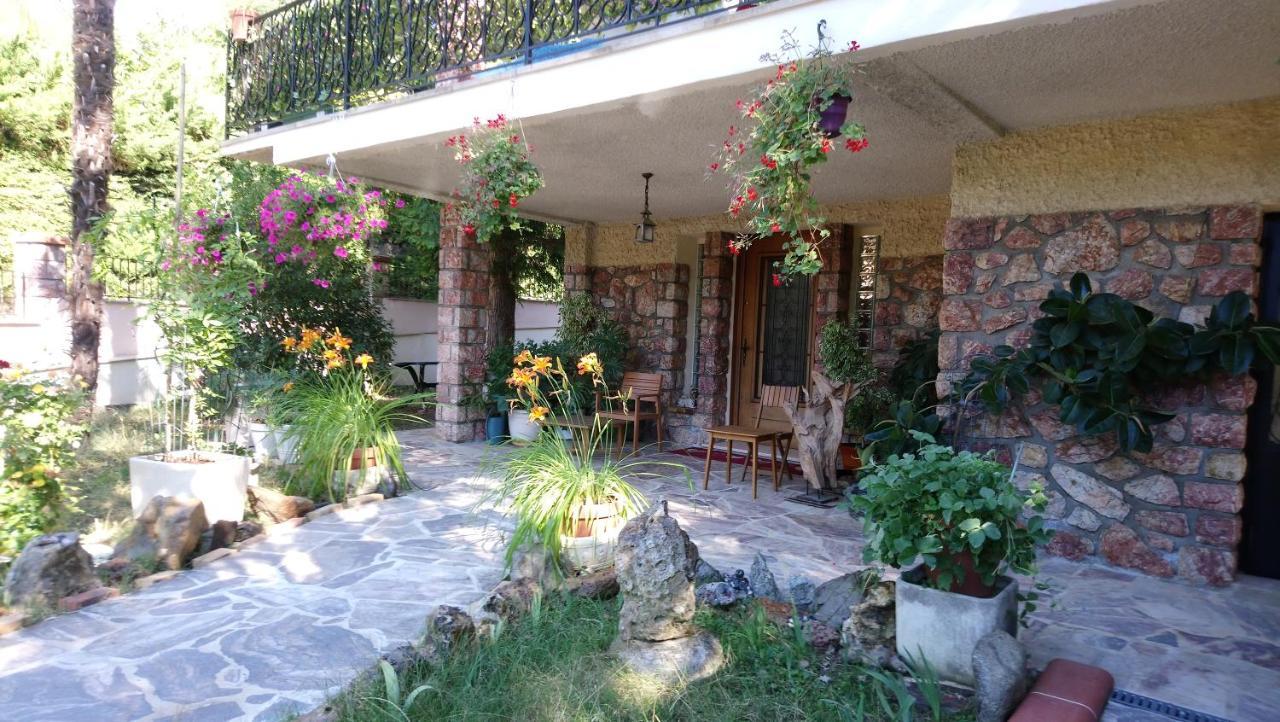 F2 de 45 m2 avec jardin au rdc dans villa chiens OK à 5 min à pied des Thermes de Vernet-les-Bains, location de samedi à samedi Exterior foto